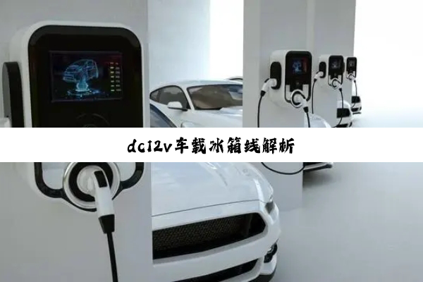 dc12v车载冰箱线解析