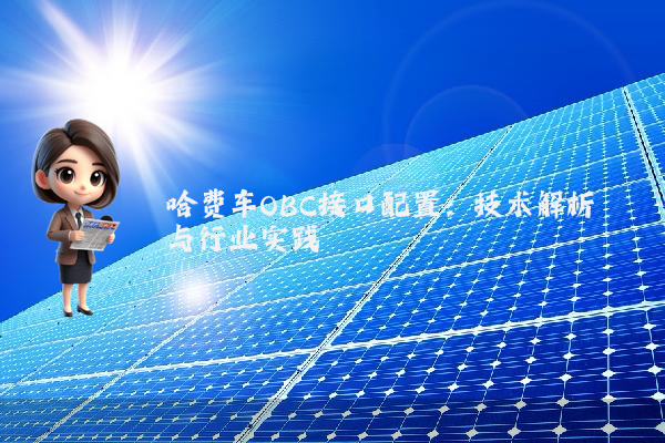 哈费车OBC接口配置：技术解析与行业实践