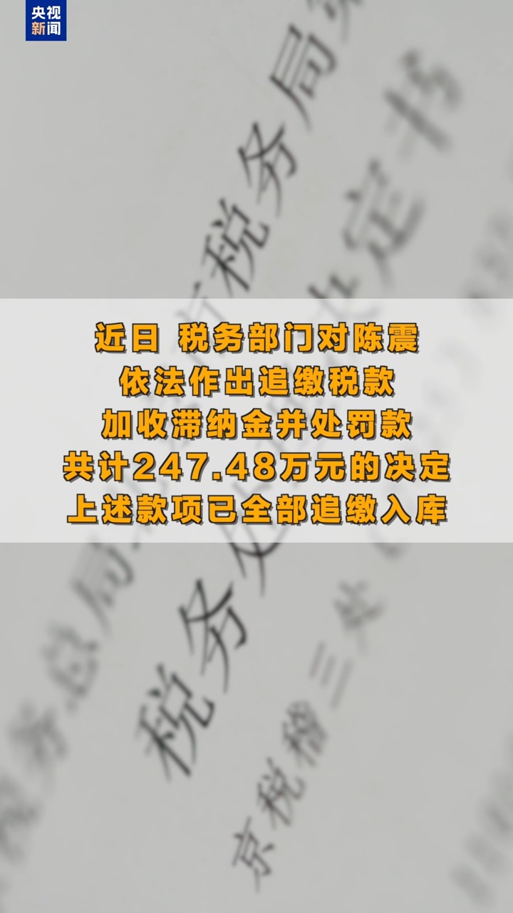 网络车评人陈震偷税被查，税务部门公布案件细节